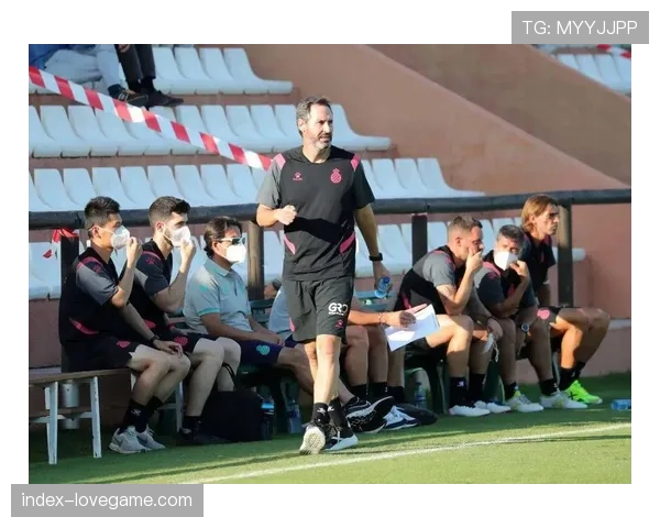 中资俱乐部在欧洲：西班牙人与格拉纳达的运营现状对比